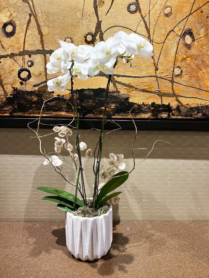 Orchid Arrangement | O06