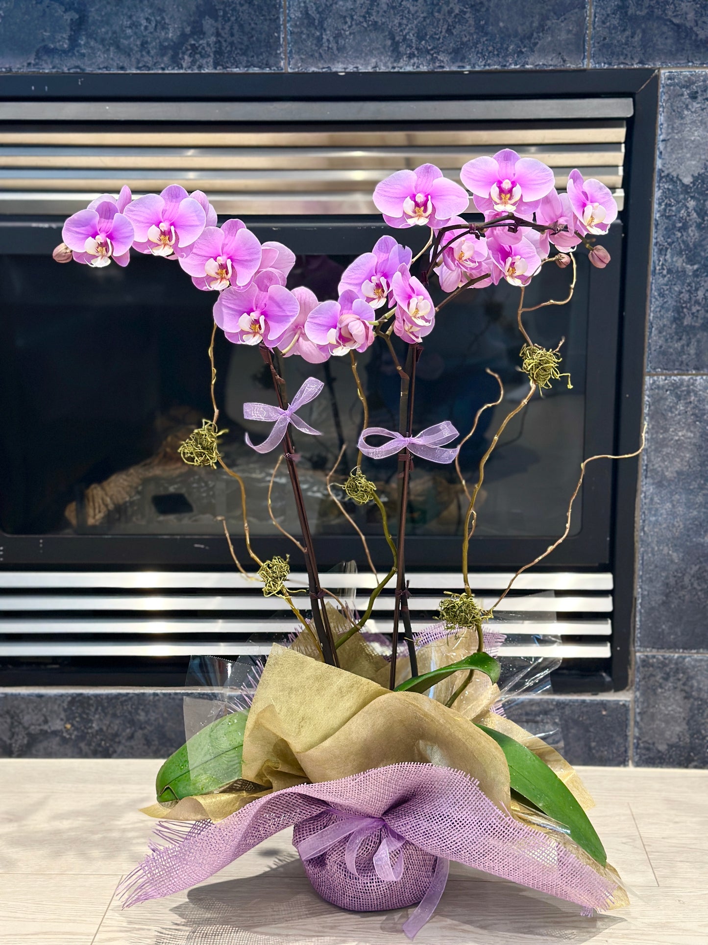 Orchid Arrangement | O23
