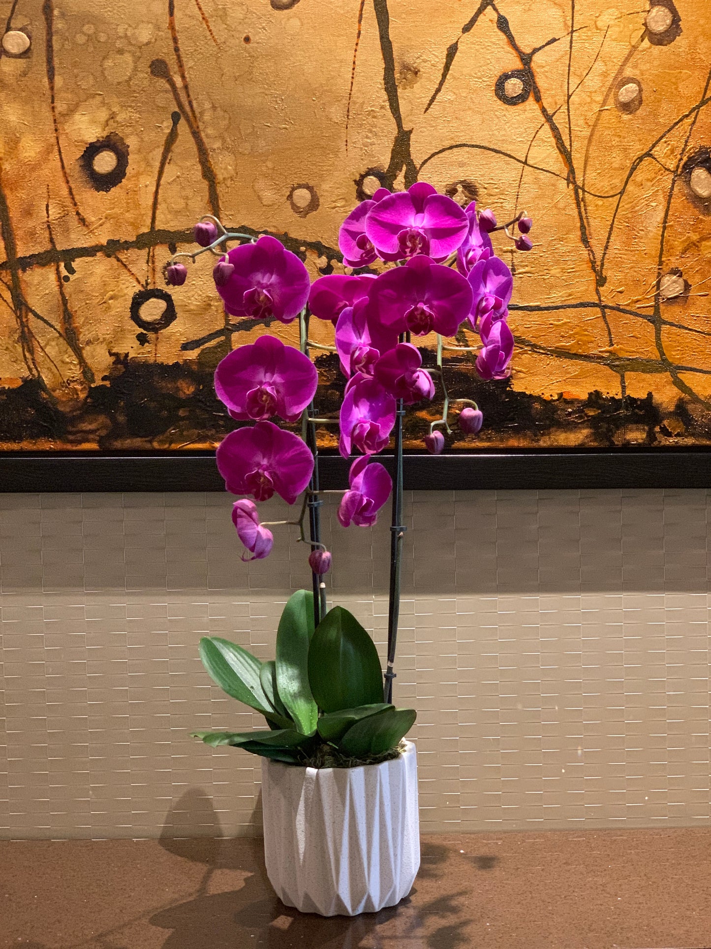 Orchid Arrangement | O03